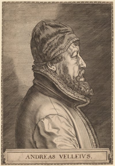 Andreas Velleius (Anders Sorensen Vedel) by Johan Wierix