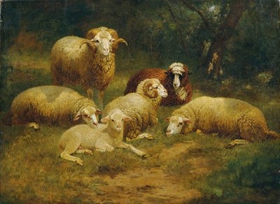 Sheep by Johann Baptist Hofner
