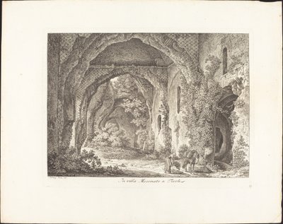 In Villa Mecenate by Johann Christian Reinhart