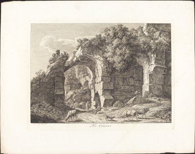 In the Colosseum by Johann Christian Reinhart