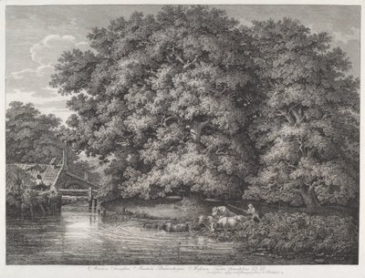 The Mill at the Great Oaks by Johann Christian Reinhart