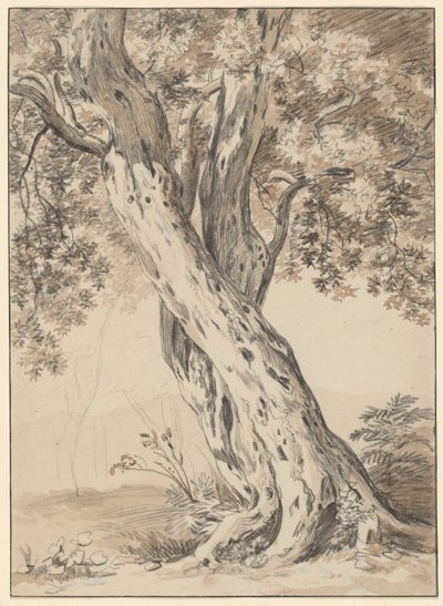 Two Intertwined Oak Trees by Johann Christian Reinhart