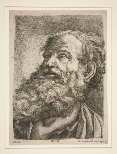 Male Head (of an Apostle?) by Johann Georg Hertel