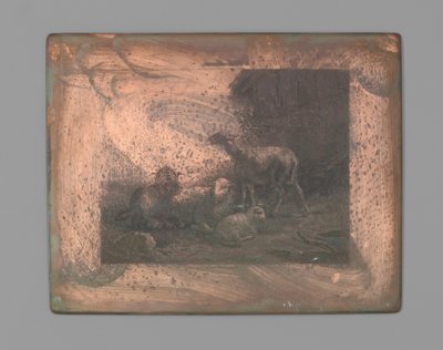 Four sheep by Johann Heinrich Maria Hubert Rennefeld (signed by artist)