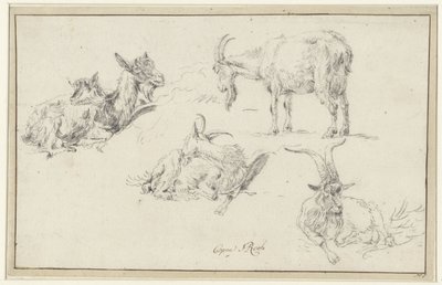 Studies of a Goat by Johann Heinrich Roos (possibly)