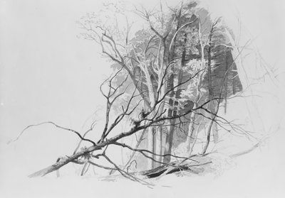 Forest Scene by Johann Hermann Carmiencke
