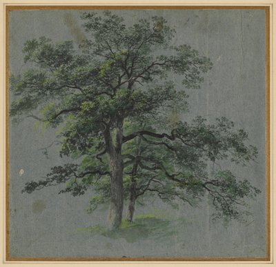 Two Trees by Johann Jacob Dorner