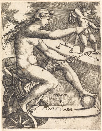 Venus by Johann Ladenspelder