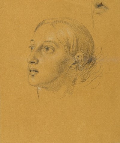 Head Study for 