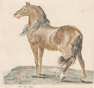 The Neighing Horse by Johann Teyler