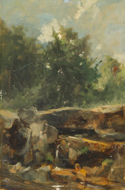 Study of a Brook by Johann  Till der Jüngere