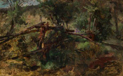 Forest Path with Fence by Johann  Till der Jüngere