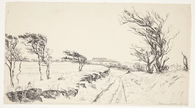 Landscape Breininggaard by Johanne Krebs