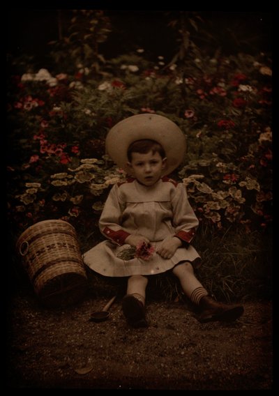 Child Before Flowers by Johannes Hendrikus Antonius Maria Lutz