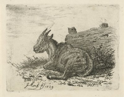 Lying Goat by a Fence by Johannes Mock