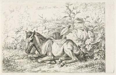 Lying Horse in Front of Some Plants by Johannes Mock