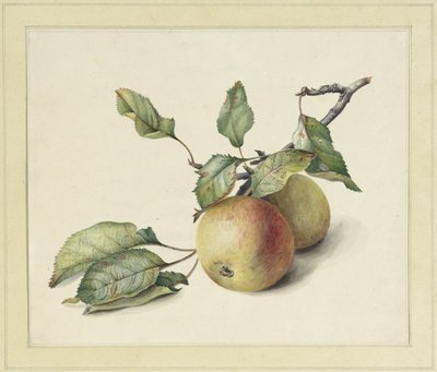 Two apples on a branch by Johannes Reekers (II)
