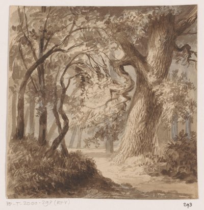 Forest Landscape by Johannes Tavenraat