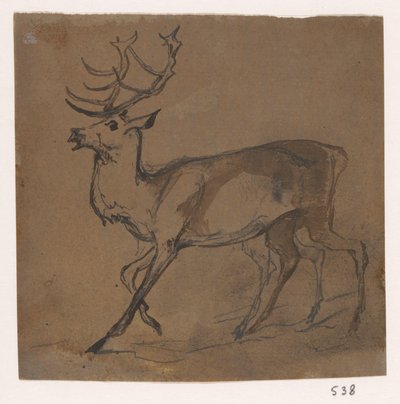 Deer by Johannes Tavenraat