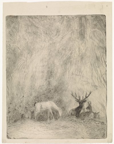 Deer in a Bohemian Forest by Johannes Tavenraat