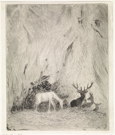 Deer in a Bohemian Forest by Johannes Tavenraat