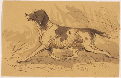 Hunting Dog by Johannes Tavenraat