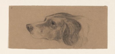 Head of a Dog, Facing Left by Johannes Tavenraat