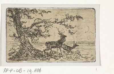 Two Deer Under a Tree by Johannes Tavenraat