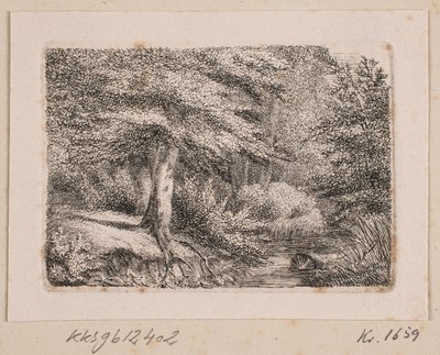 Forest Scene by Johannes Wilhelm Zillen