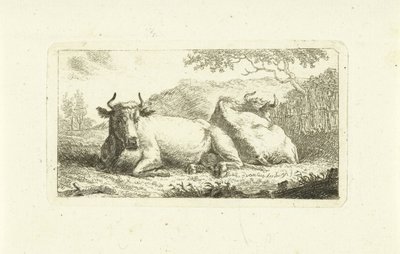 Two Lying Cows by Johannes van Cuylenburgh