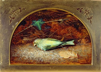 A Dead Linnet by John Atkinson Grimshaw