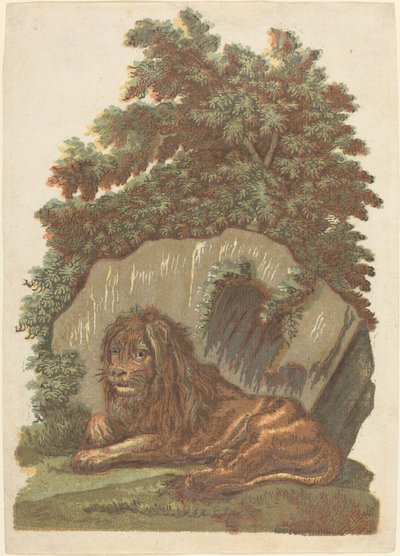 The Lion by John Baptist Jackson