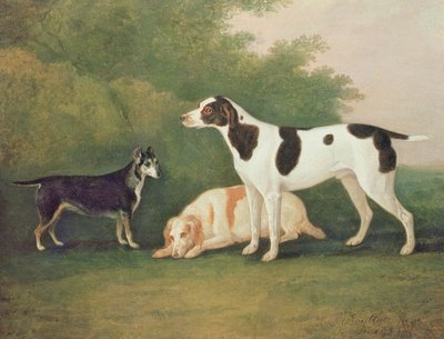 Three Dogs in a Landscape by John Boultbee