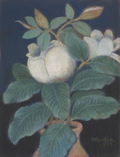 Magnolia Blossoms, 1933 by John Breckinridge Martin