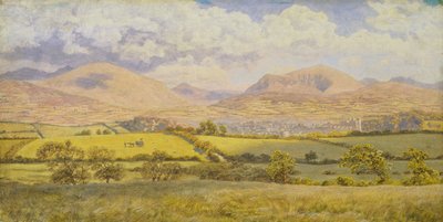 Caernarvon by John Brett