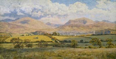 Caernarvon by John Brett