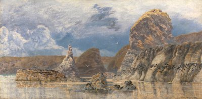 The Shallows of Hareslade Cove, Gower by John Brett