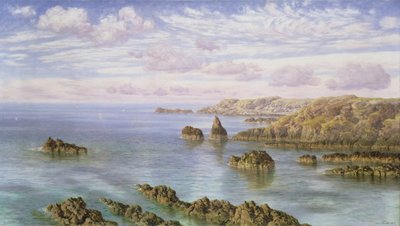 The Southern Coast of Guernsey by John Brett