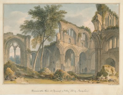 Hampshire - Netley Abbey - Remains by John Buckler