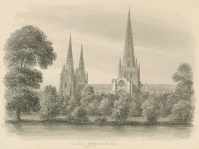 Lichfield Cathedral - South View by John Buckler