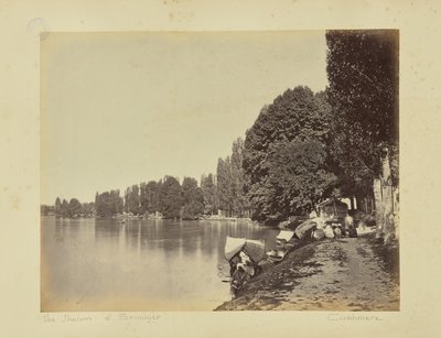 The Jhelum at Srinagar, Kashmir by John Burke