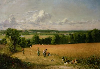 Wheat Field by John Constable