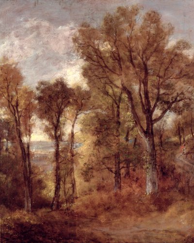 Woodland View in Suffolk by John Constable