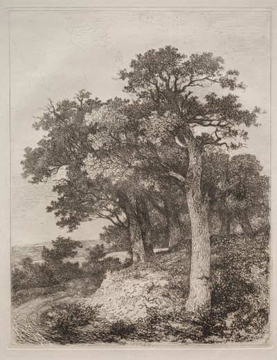 At Colney by John Crome