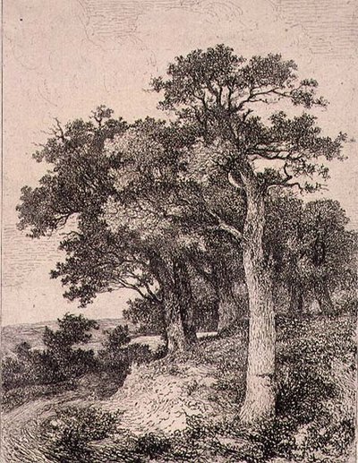 At Colney, pub. by J. & W. Freeman by John Crome