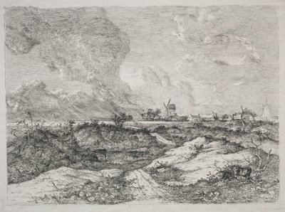 Mousehold Heath by John Crome