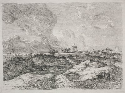 Mousehold Heath by John Crome