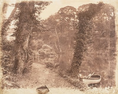 Upper Lake, 1853-56 by John Dillwyn Llewelyn