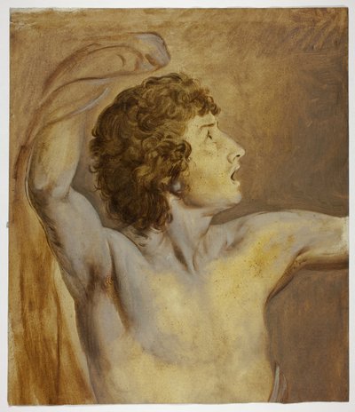 Study after Nature by John Downman