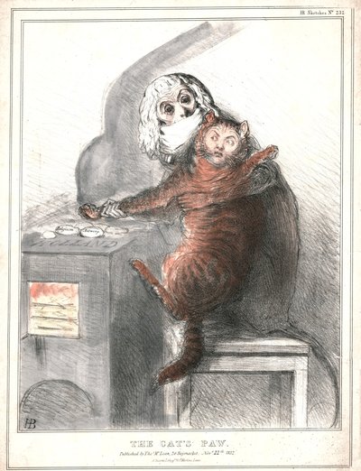 The Cat